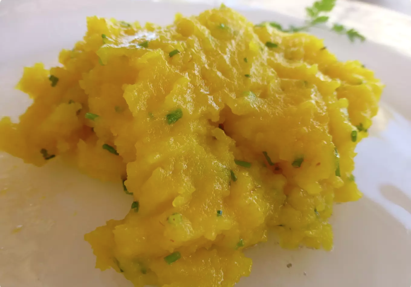 Conejo encebollado con setas con pure de patata con azafrán y cebollino